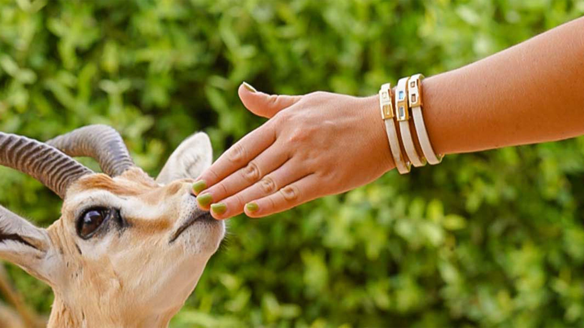 What Is an Intention Bracelet? The Complete Guide