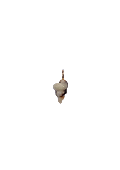 Shell-shaped pendant on a white background