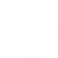 Global icon