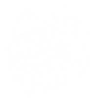 Sustainable materials icon