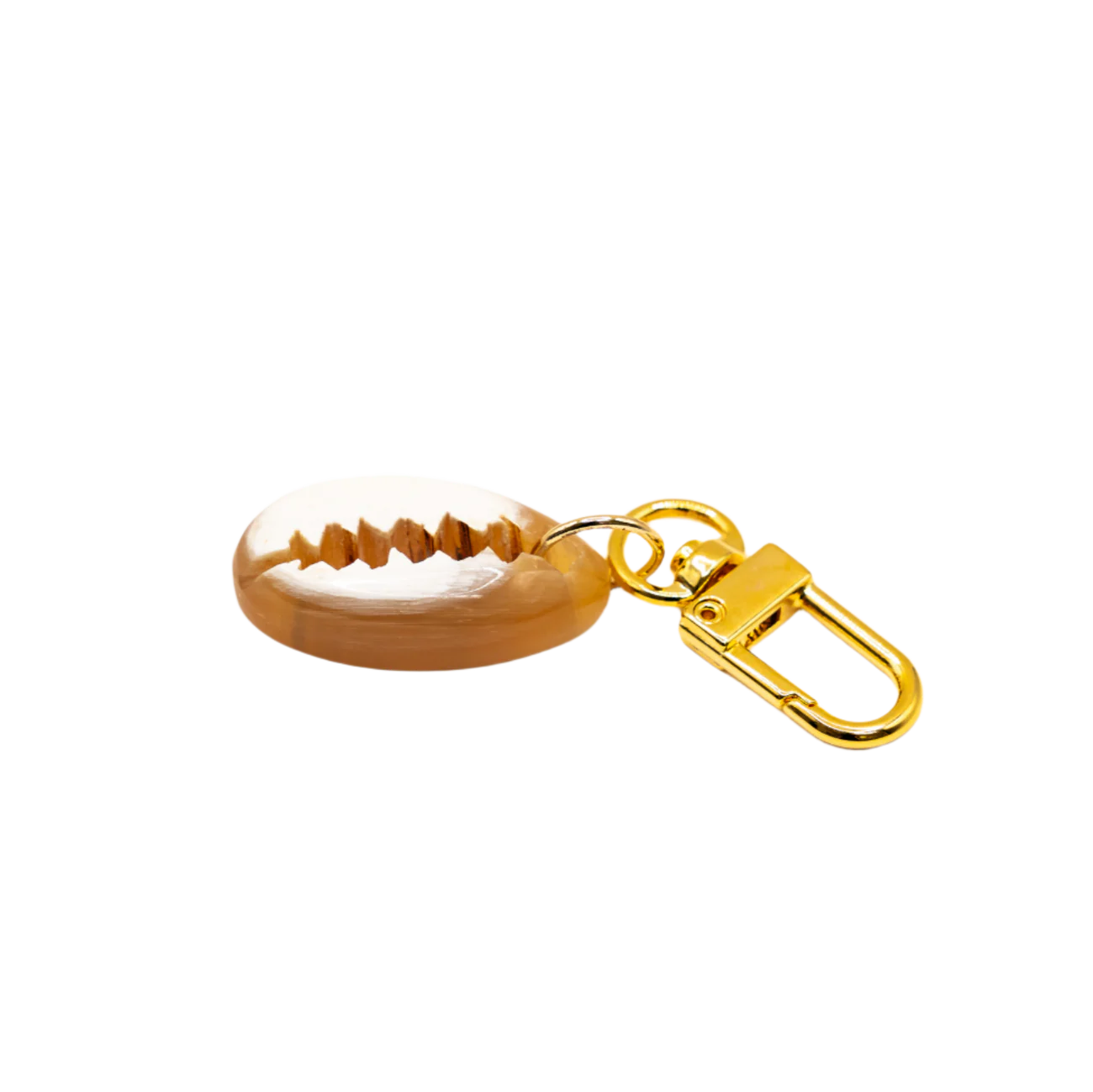 Akola cowrie horn charm styled view
